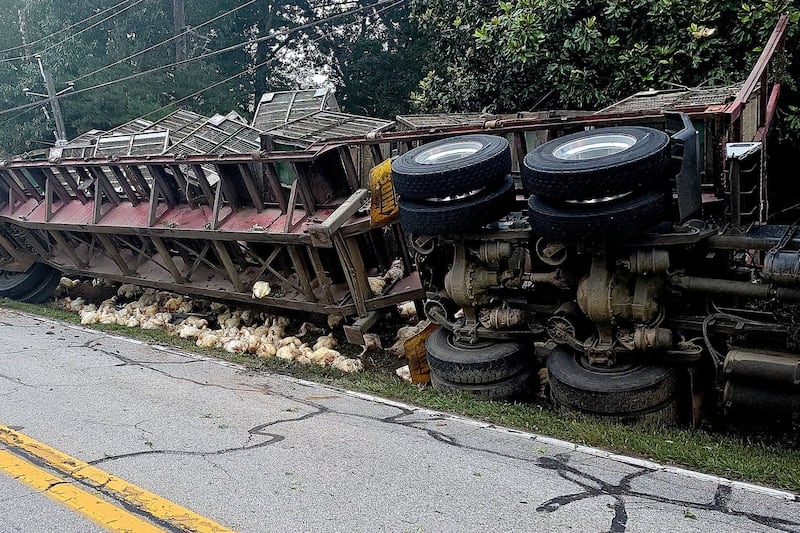 Un accidente de un camión con pollos cerró una carretera de Hall por varias horas.