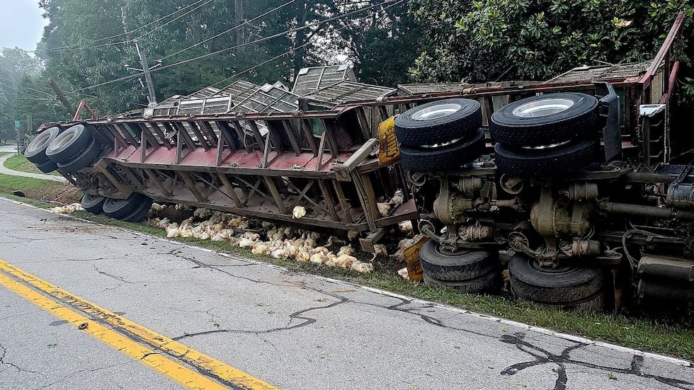 Un accidente de un camión con pollos cerró una carretera de Hall por varias horas.