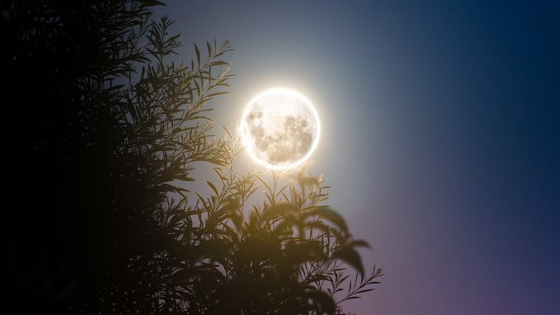 próxima luna llena de 2024