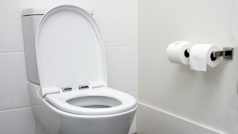 Sentarse por tiempo prolongado en el inodoro puede incrementar el riesgo de sufrir de...