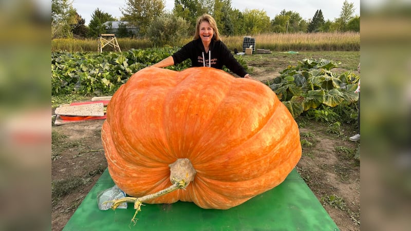 Theresa Miller, de Stillman Valley, ahora tiene el récord de la calabaza más grande cultivada...