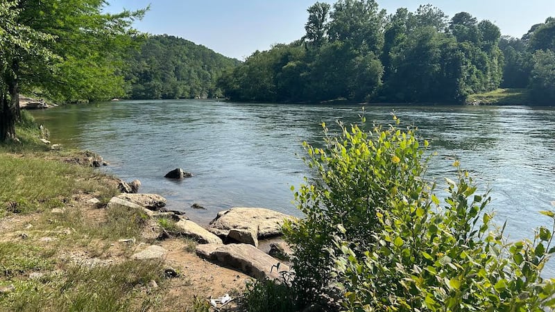 Detectan altos niveles de E.coli en el río.