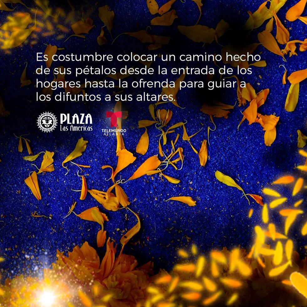 Día de Muertos Fest en Plaza las Américas