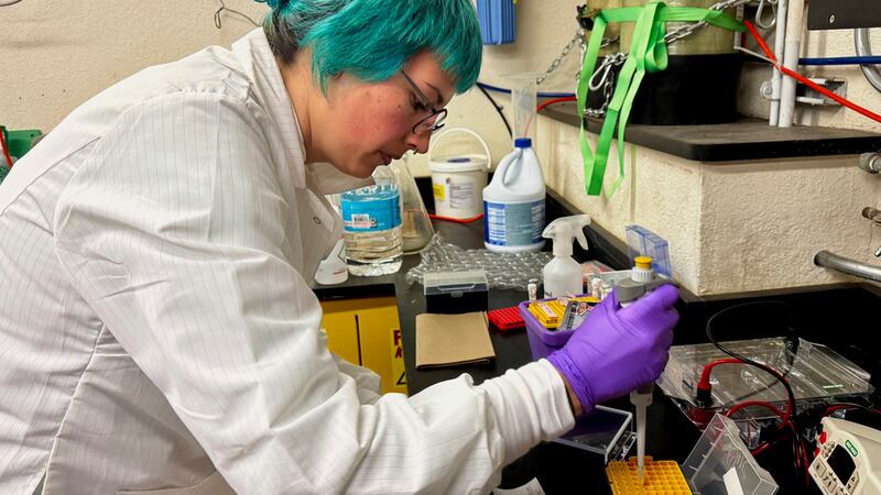 Kendra Dahmer, investigadora posdoctoral que estudia enfermedades infecciosas, trabaja en un...