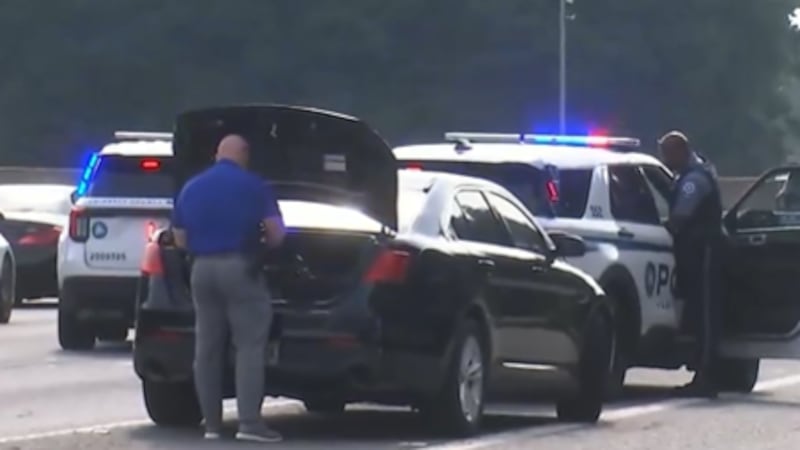 Stone Mountain investigation