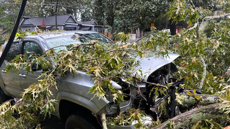 Tree falls on top of truck in northeast Atlanta
