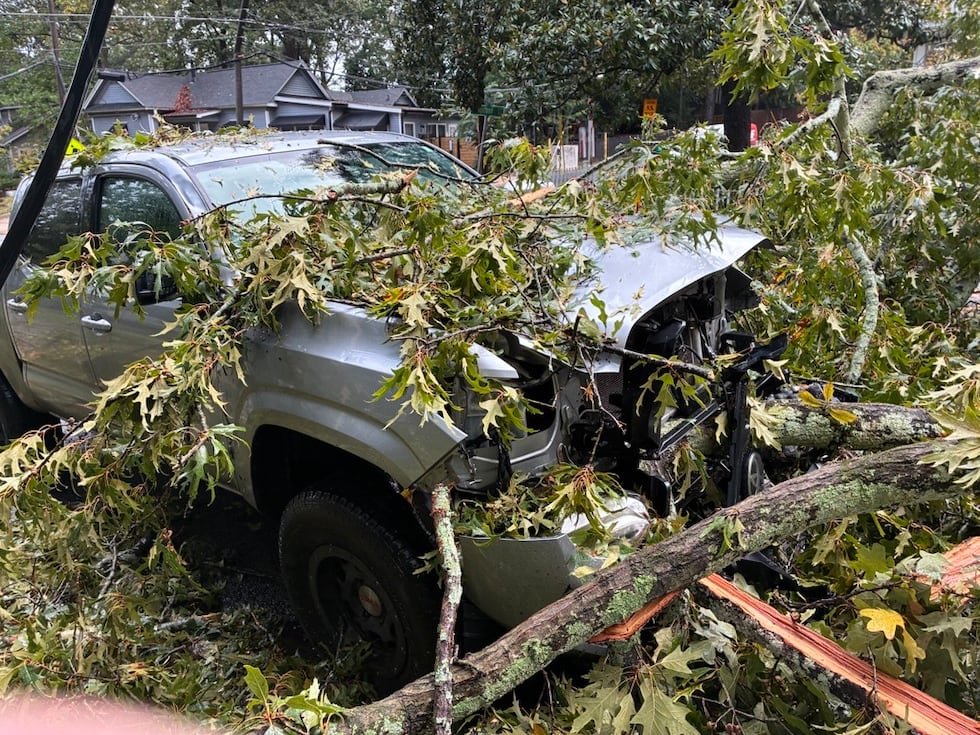 Un árbol cayó sobre un camión.