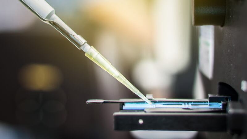 The lawsuit was filed Saturday by the 35-year-old daughter of a woman who got fertility...