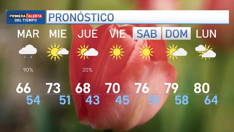 Los niveles de polen se mantienen altos