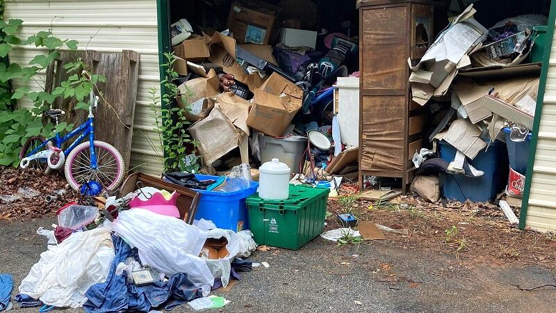 Sacrifican gatos expuestos al virus de la rabia