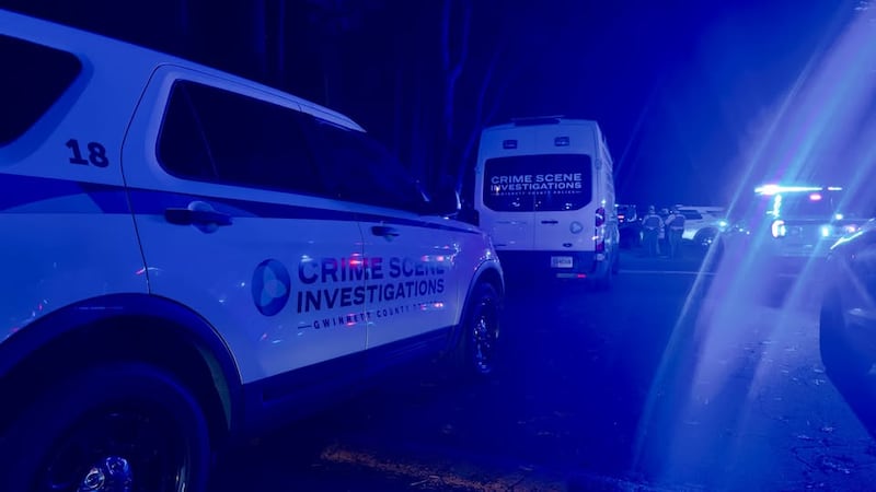 Gwinnett County Police
