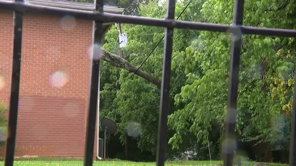 Árbol cayó sobre el tendido eléctrico en el suroeste de Atlanta.