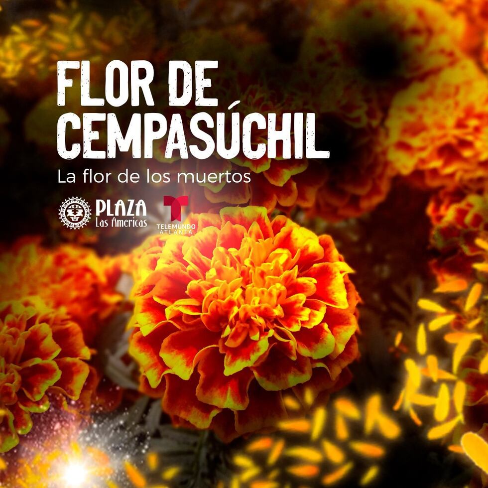 Día de Muertos Fest en Plaza las Américas
