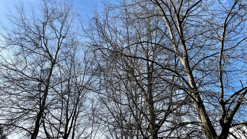 Temperaturas de verano a solo días de que llegue la primavera