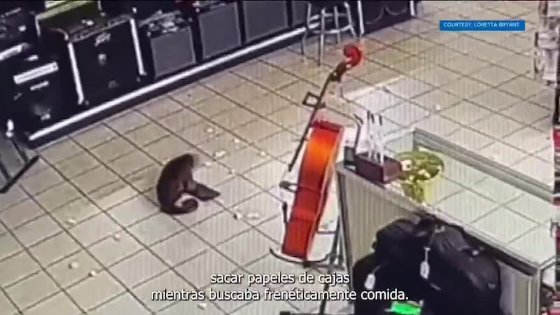 Top 5 con Miguel Ángel Antoñanzas | 7 de enero de 2026