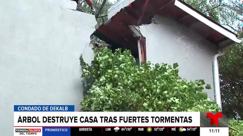 Árbol parte una casa en dos en DeKalb en medio de la tormenta