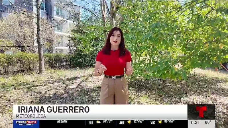 Temporada de polen a niveles extremos