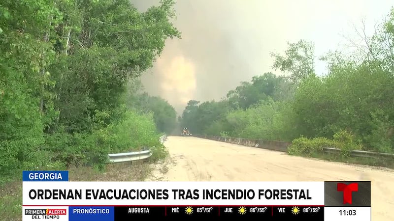 Ordenan evacuaciones tras desatarse incendio forestal en el sur de Georgia