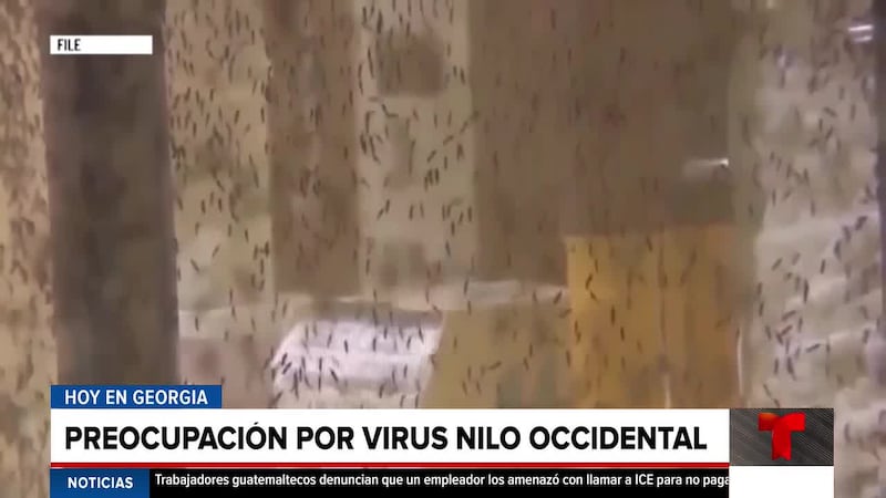 NOTICIAS DEL DÍA | Preocupación por el virus del Nilo Occidental