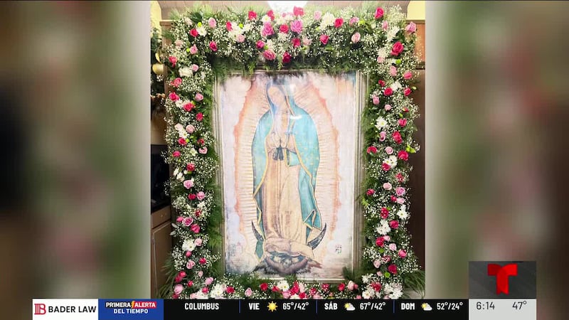 VIRGEN DE GUADALUPE